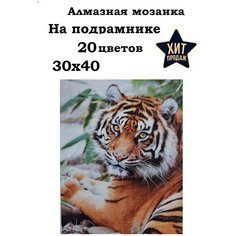 Алмазная мозаика 30x40 "Тигр" на подрамнике, Картина стразами Нет бренда