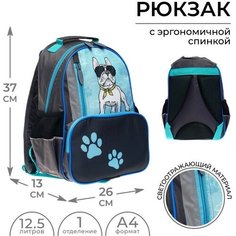 Calligrata Рюкзак школьный, 37 х 26 х 13 см, эргономичная спинка, Calligrata ОРТ "Бульдог"