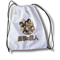 Мешок для cменной обуви аниме Атака титанов - 30461 Brut Boxers