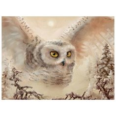 Алмазная мозаика на холсте с подрамником (картина стразами, алмазная вышивка) Сова 40x50 см Boom Boom Shop
