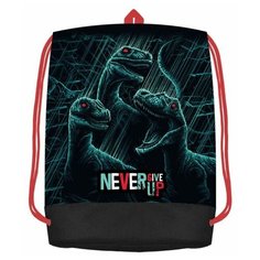 Мешок для сменной обуви Оникс 410*540мм МО 33-20 Три динозавра