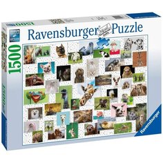 Ravensburger. Пазл карт. 1500 "Забавные животные"