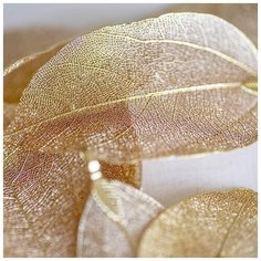 Кулон Подвеска металлическая 2 шт. для рукоделия / браслета / сережек, цвет светлое золото, 85-55х40-25х1 мм КафеБижу