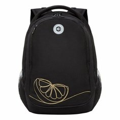 Рюкзак молодежный GRIZZLY RD-340-2, 29*40*20 см, 2 отд. черный