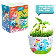Смешарики Набор "Чудо сад" смешарики, прорастайка