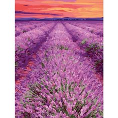 Картина по номерам Ряды лаванды 40х50 см Hobby Home