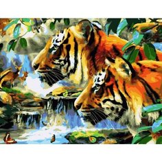 Картина по номерам Тигры в джунглях 40х50 см Hobby Home