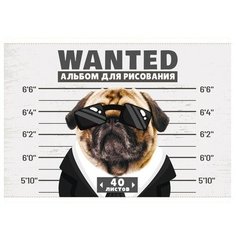 Альбом для рисования А4, 40 листов на скрепке, "Гангста", обложка мелованный картон, блок офсет 100 г/м2 Calligrata