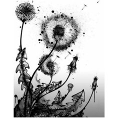 Картина по номерам Одуванчик 40х50 см Hobby Home