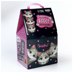 Подарочный набор школьника с мягкой игрушкой "Кот", 7 предметов Milo Toys