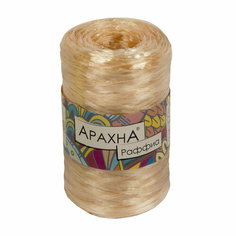 Пряжа ARACHNA Raffia 100% полипропилен 5 шт. х 50 г +- 10 г 200 м +- 12 м N04 золотой