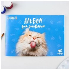 Альбом для рисования на скрепках А4, 40 листов «Котик» (обложка 160 г/м2, бумага 100 г/м2). (комплект из 15 шт) Art Fox