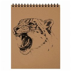 Альбом для рисования Brauberg