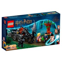 Конструктор Lego tbd-HP-9-2022-Advent-Calendar (76400)