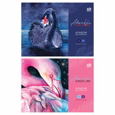 Альбом для акварели, 20л, А4, на склейке ArtSpace "Яркие создания", 180г/м2 Спейс