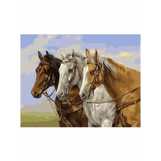Картина по номерам Тройка коней 40х50 см АртТойс