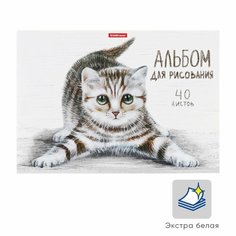 Альбом для рисования А4, 40 листов на клею Tabby, обложка мелованный картон, жёсткая подложка, блок 120 г/м2 Россия