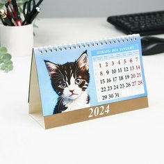 Календарь настольный, домик "Котята" 2024, 20х14 см Россия