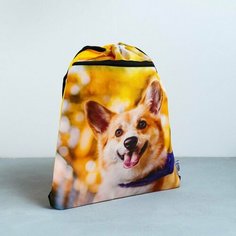 ArtFox STUDY Сумка для обуви «Забавный корги», 2 секции, 41х31 см