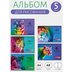 Альбом для рисования 5 шт. ассорти 48 л. "SVETOCH" "Класс" А4 на скобе, 100 г/м2, 29 х 20.5 см Большие кошки