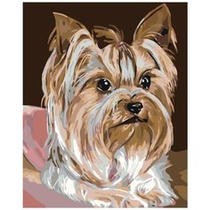 Картина по номерам Йоркширский терьер 40х50 см АртТойс