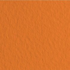 Fabriano Бумага для пастели "Tiziano" 160г/м2 50x65см оранжевый, 10л