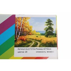 Алмазная мозаика 40Х50 Осень. Лесная дорога КНР