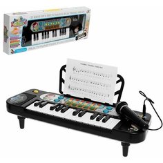 Синтезатор Играй и пой, 25 клавиш, микрофон, работает от батареек Нет бренда