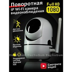 Камера видеонаблюдения Wi Fi, видеоняня Electro Gum