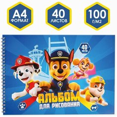 Альбом для рисования А4 40 листов на гребне Paw Patrol ТероПром