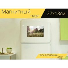 Магнитный пазл "Поле, трава, пейзаж" на холодильник 27 x 18 см. Lots Prints