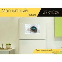 Магнитный пазл "Комнатная муха, летать, насекомое" на холодильник 27 x 18 см. Lots Prints