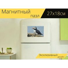 Магнитный пазл "Тупик, стаффа, шотландия" на холодильник 27 x 18 см. Lots Prints