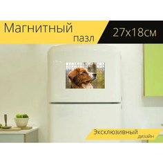 Магнитный пазл "Собака, собачий, домашний питомец" на холодильник 27 x 18 см. Lots Prints