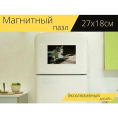 Магнитный пазл "Кот, домашняя кошка, домашнее животное" на холодильник 27 x 18 см. Lots Prints