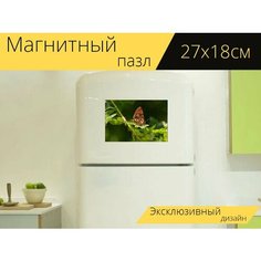 Магнитный пазл "Насекомое, бабочка, природа" на холодильник 27 x 18 см. Lots Prints