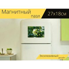 Магнитный пазл "Зеленый, вишня, корея" на холодильник 27 x 18 см. Lots Prints