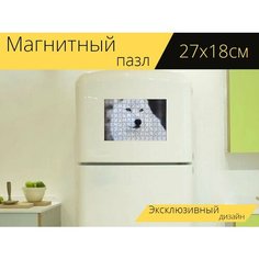 Магнитный пазл "Белый волк, животное, дикая природа" на холодильник 27 x 18 см. Lots Prints