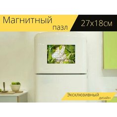 Магнитный пазл "Овощи, цветная капуста, еда" на холодильник 27 x 18 см. Lots Prints