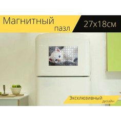 Магнитный пазл "Котенок, милый, белый" на холодильник 27 x 18 см. Lots Prints