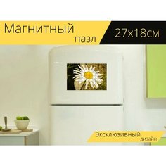 Магнитный пазл "Цветы, ромашка, лето" на холодильник 27 x 18 см. Lots Prints