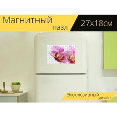 Магнитный пазл "Фаленопсис, орхидея, белый" на холодильник 27 x 18 см. Lots Prints
