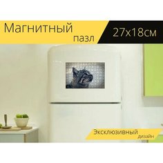 Магнитный пазл "Кошка, млекопитающее, feline" на холодильник 27 x 18 см. Lots Prints