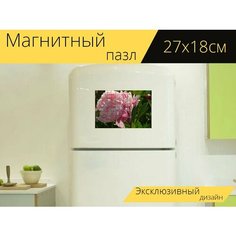 Магнитный пазл "Пион, цветок, цвести" на холодильник 27 x 18 см. Lots Prints