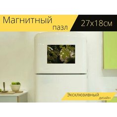 Магнитный пазл "Лист, зеленый, подсветка" на холодильник 27 x 18 см. Lots Prints