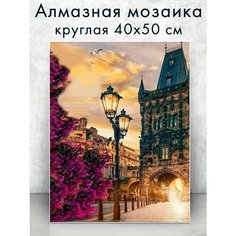 Алмазная мозаика (круг) "Городской пейзаж" 40х50 см Colibri