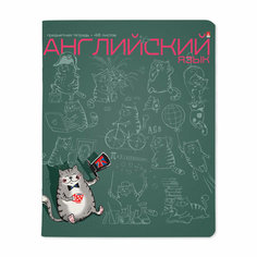 Тетрадь предметная Английский язык (3штуки) Альт