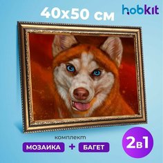 Алмазная мозаика полная выкладка HOBKIT "Хаски 40х50+Багет золотой " 50х40 размер холста,