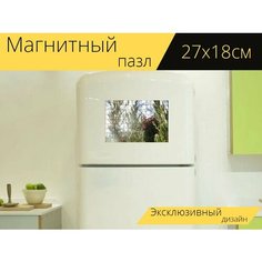 Магнитный пазл "Розмари, трава, травы" на холодильник 27 x 18 см. Lots Prints