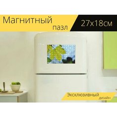 Магнитный пазл "Кленовый лист, клен, кленовое дерево" на холодильник 27 x 18 см. Lots Prints